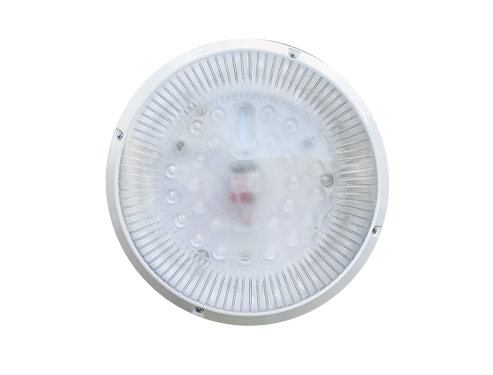 جلوب ووتربروف 24 سم 12:18VDC 18W